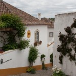 IMG_0694