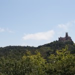 IMG_4788