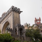IMG_4799