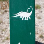IMG_8584