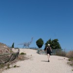 IMG_8618